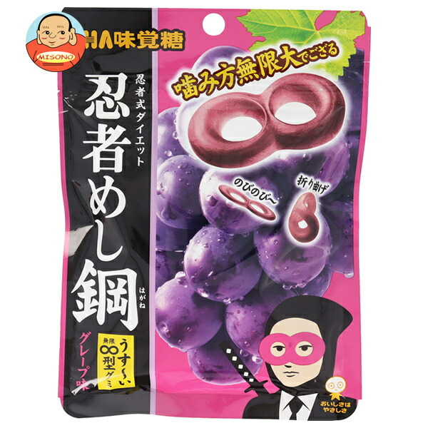 UHA味覚糖 忍者めし鋼 グレープ味 45g×10袋入｜ 送料別