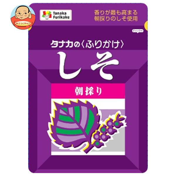 田中食品 しそ 22g×10袋入