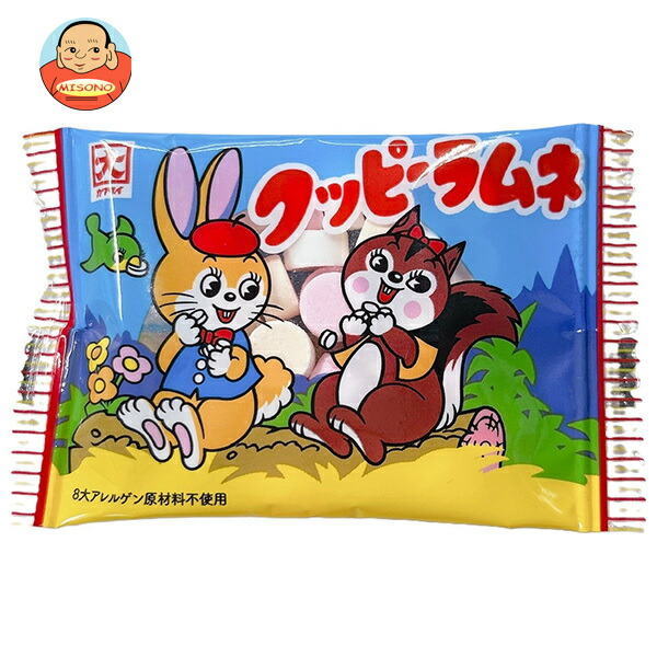 カクダイ製菓 クッピーラムネ 11g×60(30×2)袋入