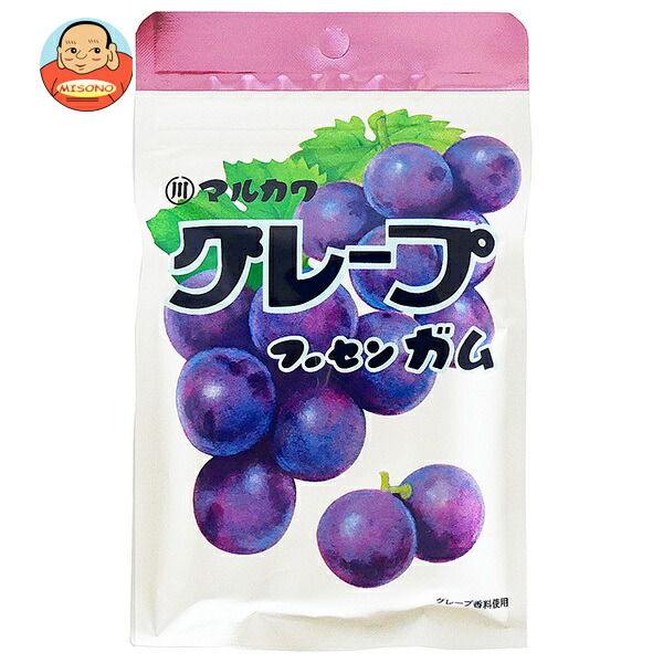 丸川製菓 チャック袋 グレープ フーセンガム 47g×10個入