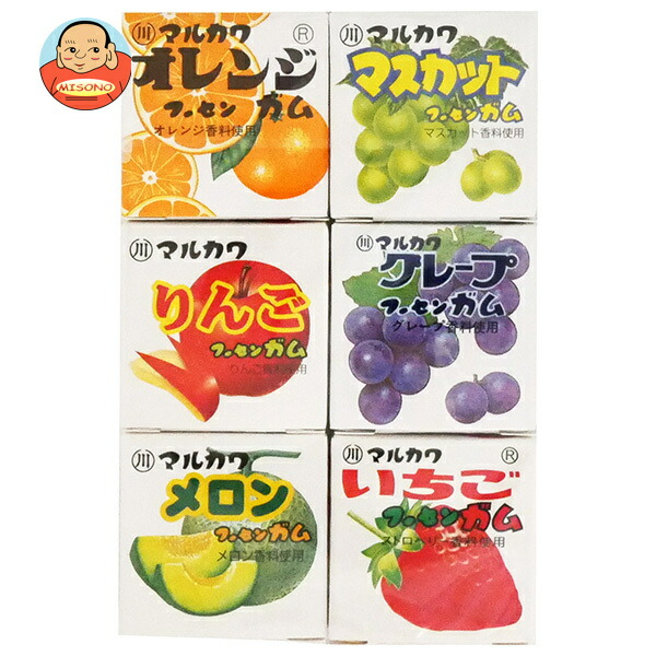 丸川製菓 フルーツ6 マーブルガム 6個×15個入