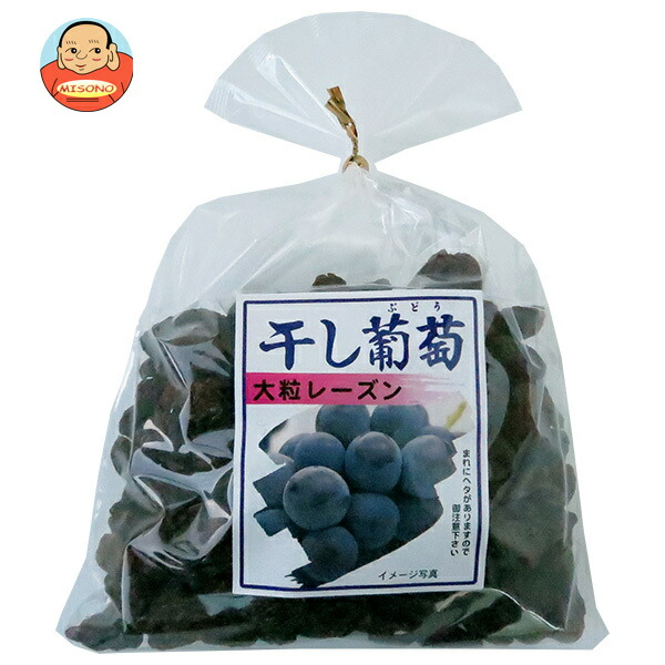 ナガトク 干し葡萄 大粒レーズン 370g×5袋入