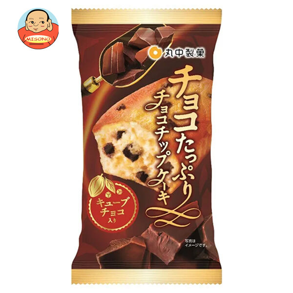丸中製菓 チョコたっぷり チョコチップケーキ ×8個入