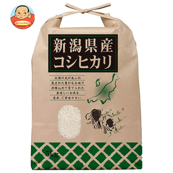 千亀利 【令和7年産】新潟県産こしひかり 5kg×1袋入