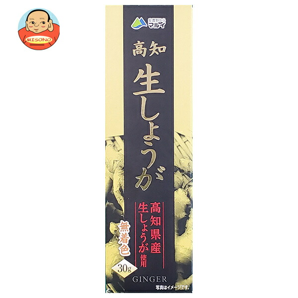 マル井 高知 生しょうが 30g×10本入