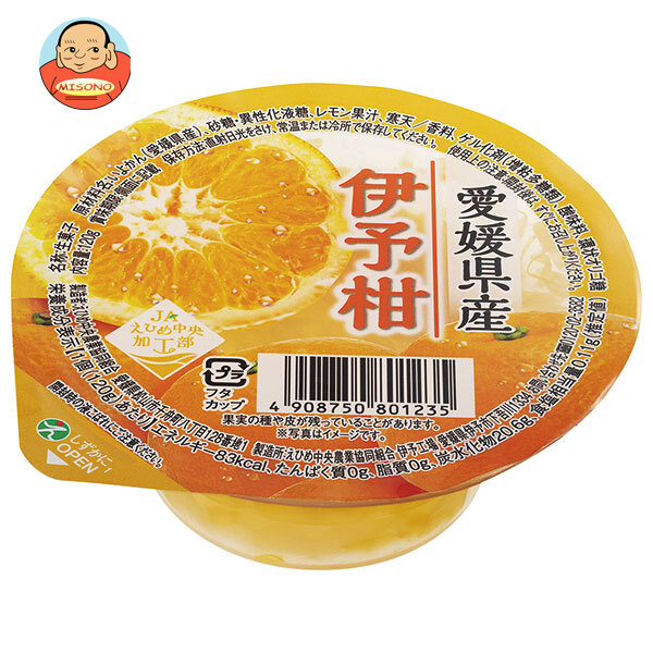 JAえひめ中央 伊予柑のゼリー 120g×30個入