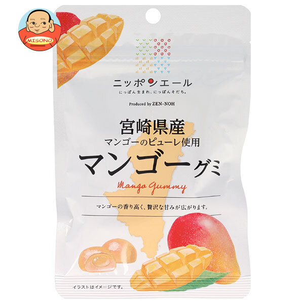 JA全農 ニッポンエール 宮崎県産マンゴー グミ 40g×10袋入