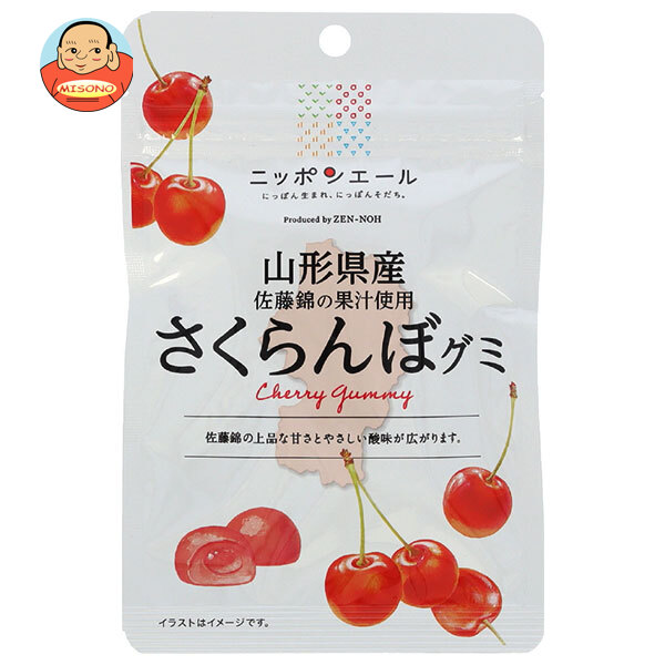 JA全農 ニッポンエール 山形県産さくらんぼ グミ 40g×10袋入