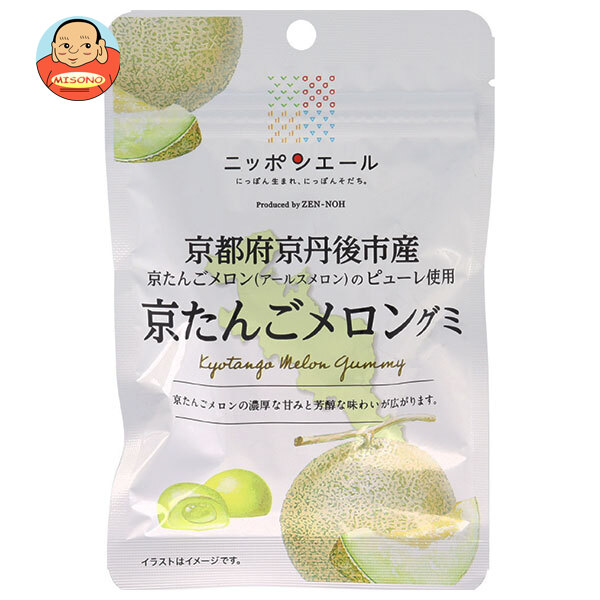 JA全農 ニッポンエール 京都府産京たんごメロン グミ 40g×10袋入