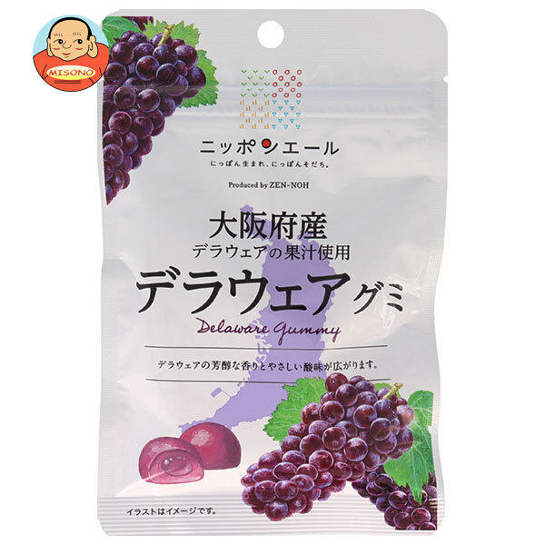 JA全農 ニッポンエール 大阪府産デラウェア グミ 40g×10袋入