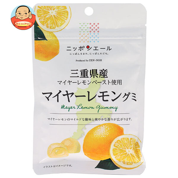 JA全農 ニッポンエール 三重県産マイヤーレモン グミ 40g×10袋入