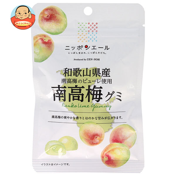 JA全農 ニッポンエール 和歌山県産南高梅 グミ 40g×10袋入