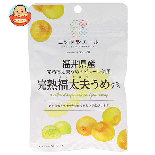 JA全農 ニッポンエール 福井県産完熟福太夫梅 グミ 40g×10袋入