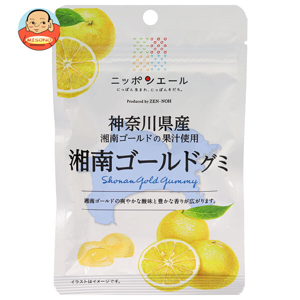 JA全農 ニッポンエール 神奈川県産湘南ゴールド グミ 40g×10袋入