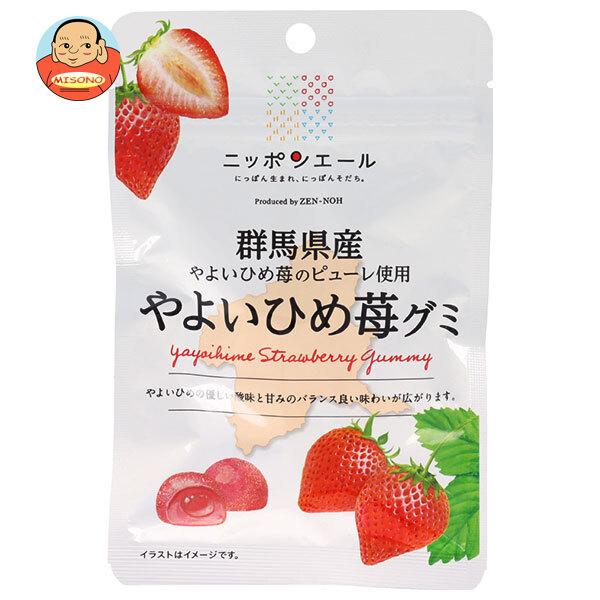 JA全農 ニッポンエール 群馬やよいひめ苺 グミ 40g×10袋入