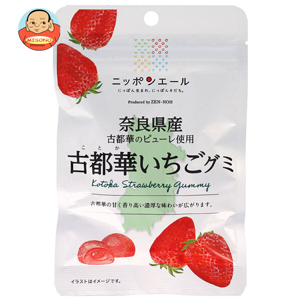 JA全農 ニッポンエール 奈良県古都華いちご グミ 40g×10袋入