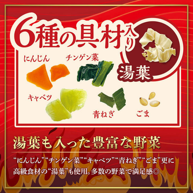 医食同源 麻辣湯 88g×12個入