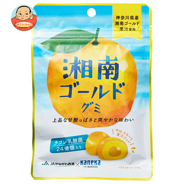 カネカ食品 湘南ゴールドグミ ラブレ乳酸菌入 40g×10袋入