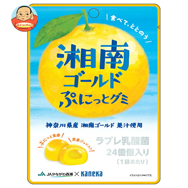 カネカ食品 湘南ゴールド ぷにっとグミ ラブレ乳酸菌入り 40g×10袋入