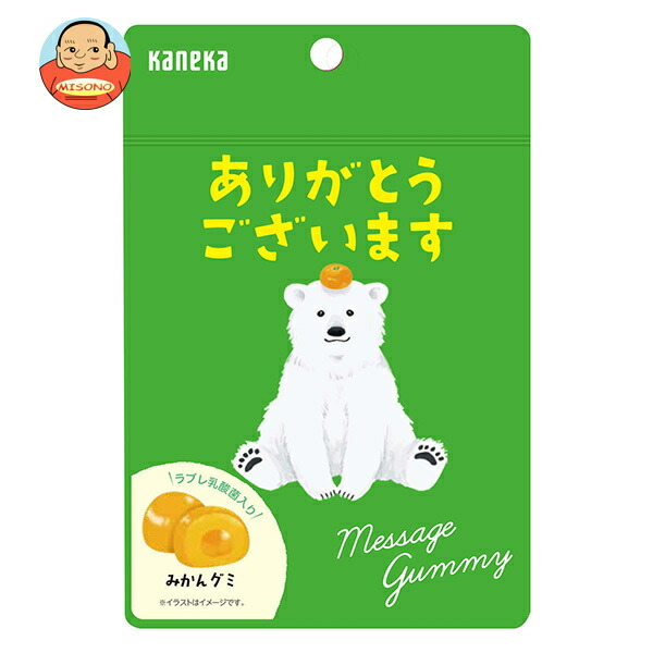 カネカ食品 メッセージグミ ありがとうございます みかん 40g袋×10袋入