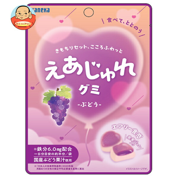 カネカ食品 えあじゅれグミ ぶどう 40g×10袋入