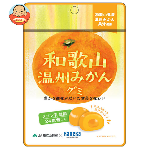 カネカ食品 和歌山温州みかんグミ ラブレ乳酸菌入 40g×10袋入