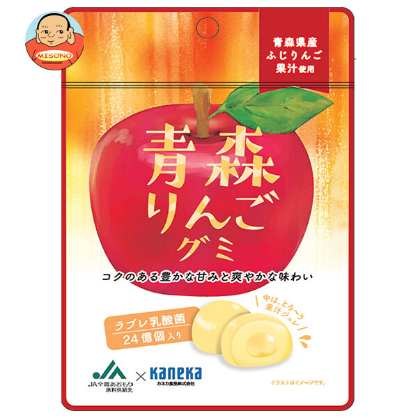 カネカ食品 青森りんごグミ ラブレ乳酸菌入 40g×10袋入