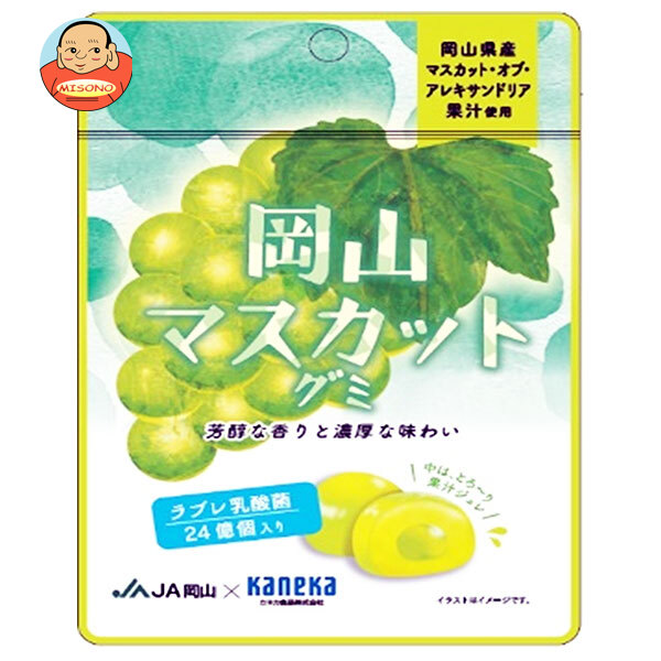 カネカ食品 岡山マスカットグミ ラブレ乳酸菌入 40g×10袋入