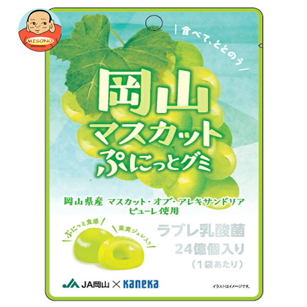 カネカ食品 岡山マスカット ぷにっとグミ ラブレ乳酸菌入り 40g×10袋入