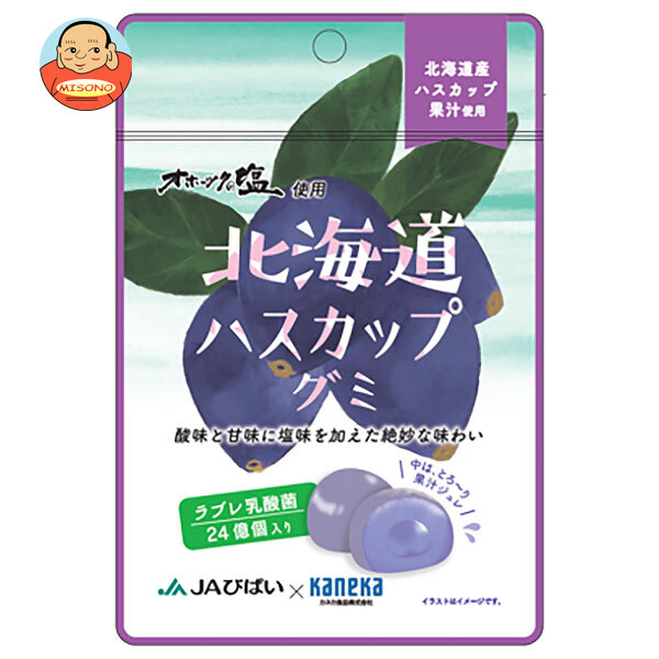 カネカ食品 北海道ハスカップグミ ラブレ乳酸菌入 40g×10袋入