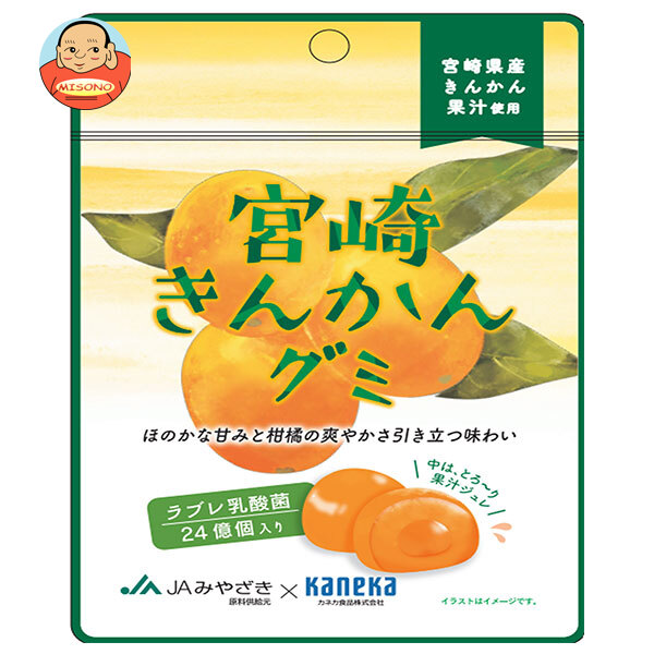 カネカ食品 宮崎きんかんグミ ラブレ乳酸菌入 40g×10袋入