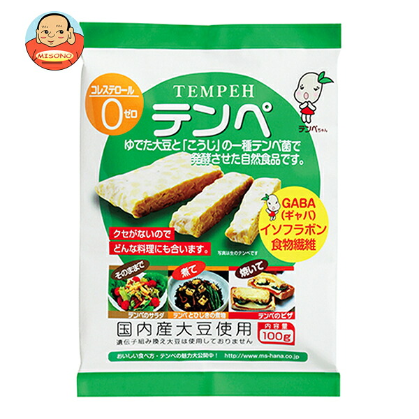 マルシン食品 テンペ 100g×10個入