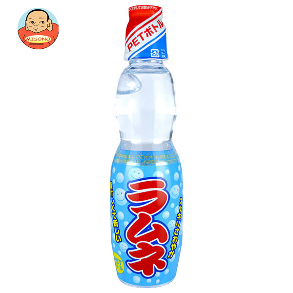 木村飲料 ペットラムネ 250mlペットボトル×30本入