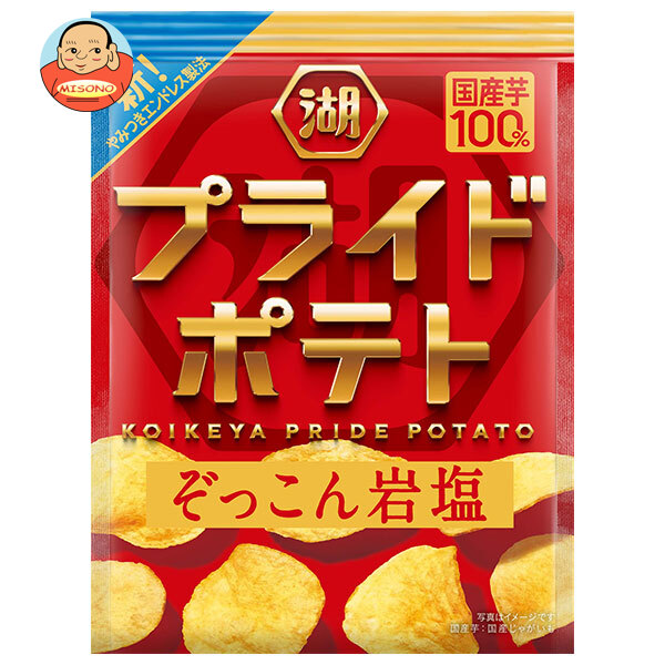 コイケヤ PRIDE POTATO プライドポテト ぞっこん岩塩 55g×12袋入