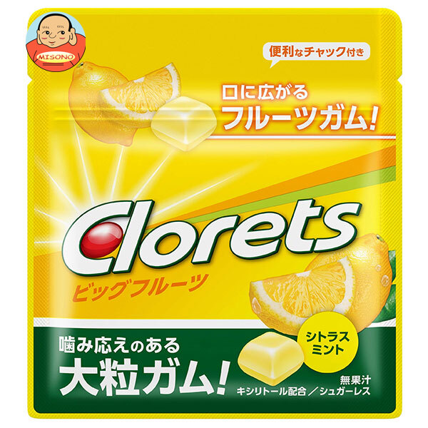 モンデリーズ ジャパン クロレッツ ビッグフルーツ シトラスミント ミニパウチ 17g×15袋入
