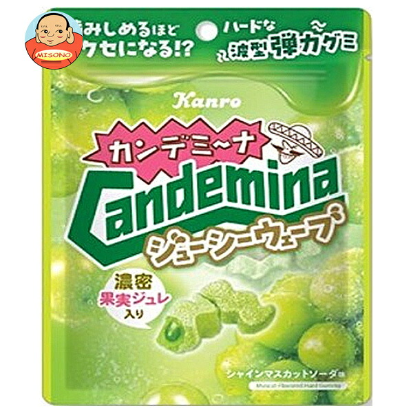 カンロ カンデミーナグミ ジューシーウェーブ 66g×6袋入