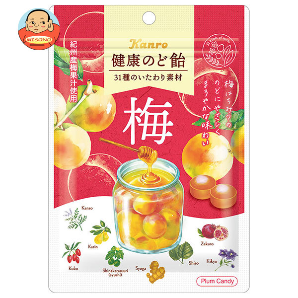 カンロ 健康のど飴 梅 90g×6袋入