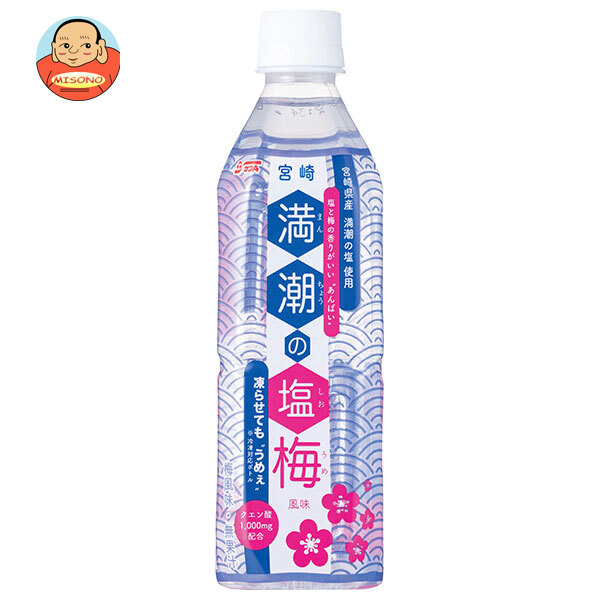 サンA 満潮の塩梅 490mlペットボトル×24本入