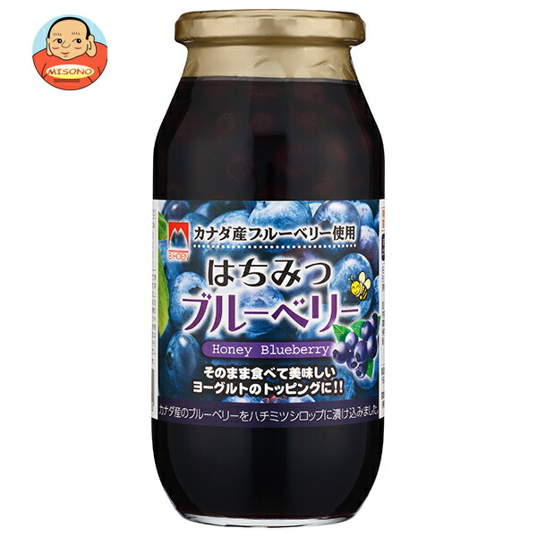 加藤美蜂園 はちみつブルーベリー 650g瓶×6本入