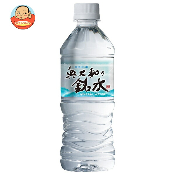 永伸商事 奥大和の銘水 500mlペットボトル×24本入