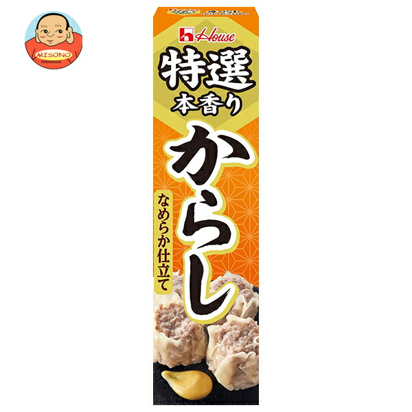 ハウス食品 特選本香り からし 42g×10本入
