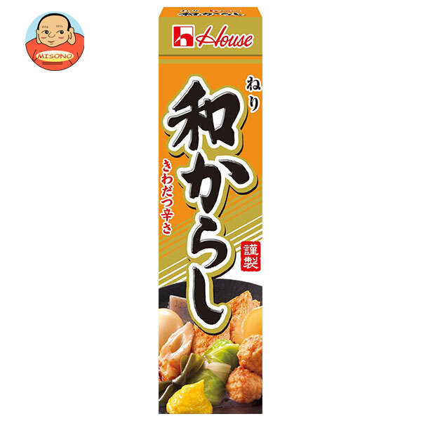 ハウス食品 ねり和からし 43g×10個入