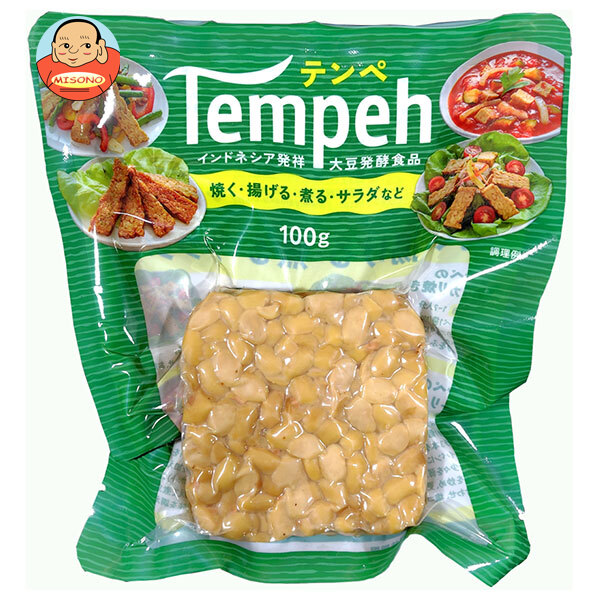 ヤマク食品 テンペ 100g×10袋入