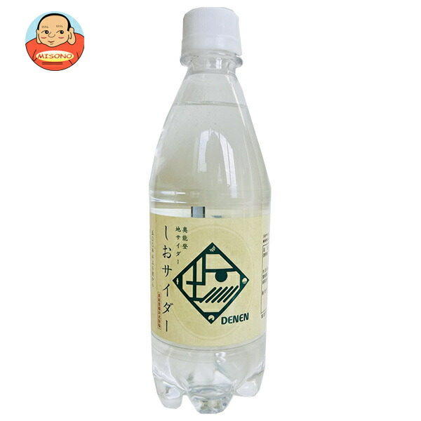 Ante(アンテ) 奥能登地サイダー しおサイダー 500mlPET×24本入