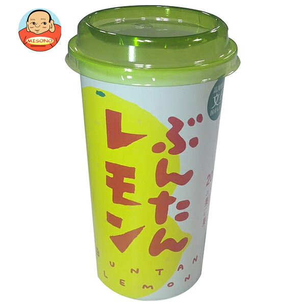 高知アイス ぶんたんレモン 200ml×12本入