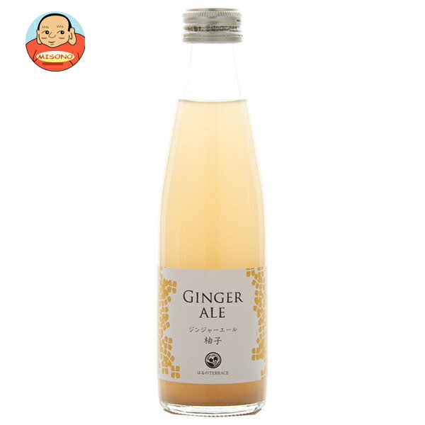 【賞味期限2026.03.21かそれ以降】スタジオオカムラ ジンジャーエール柚子 195ml瓶×24本入