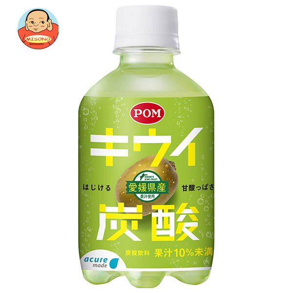 JR東日本 アキュアメイド キウイ 炭酸 280mlペットボトル×24本入