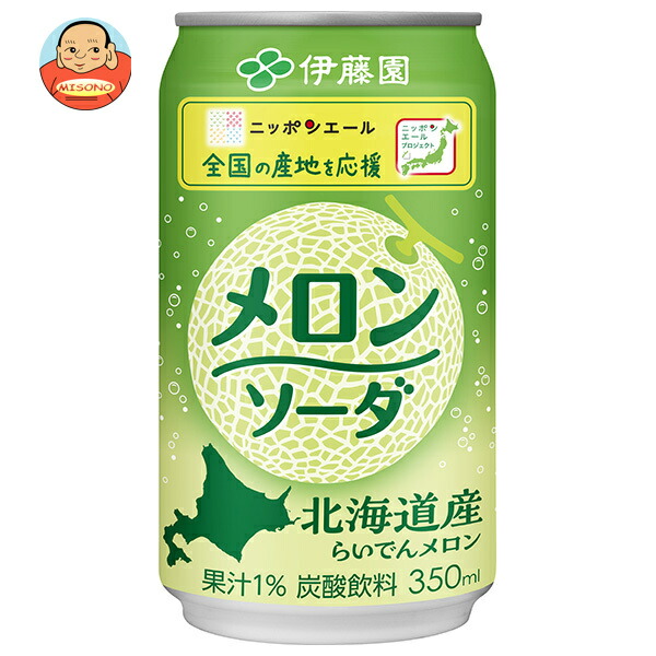伊藤園 ニッポンエール 北海道産らいでんメロンソーダ 350ml缶×24本入