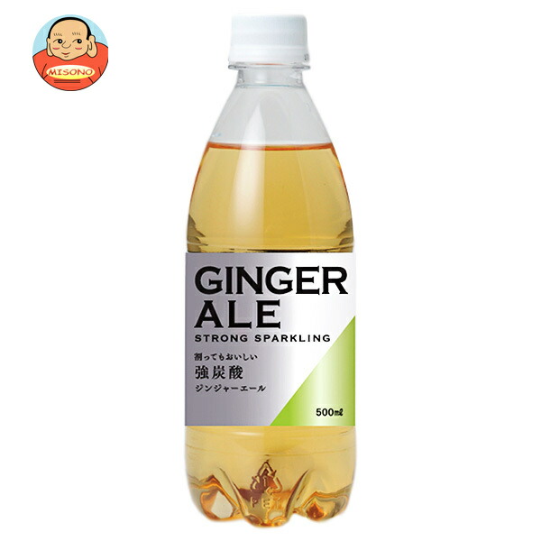 友桝飲料 ジンジャーエール 500mlペットボトル×24本入