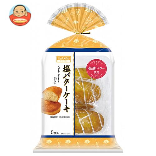 丸中製菓 塩バターケーキ 5個 6袋入